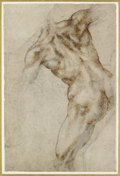 Torso Maschile Nudo da Michelangelo Buonarroti